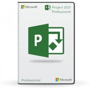 Microsoft Project Professional 2021